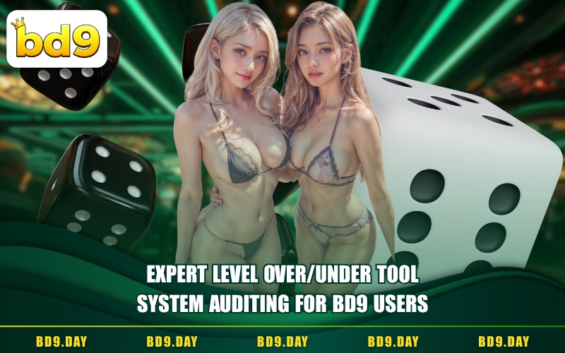 EXPERT LEVEL OVER/UNDER TOOL SYSTEM AUDITING FOR BD9 USERS