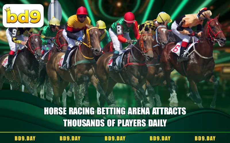 HORSE RACING BETTING ARENA ATTRACTS THOUSANDS OF PLAYERS DAILY