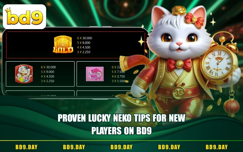PROVEN LUCKY NEKO TIPS FOR NEW PLAYERS ON BD9
