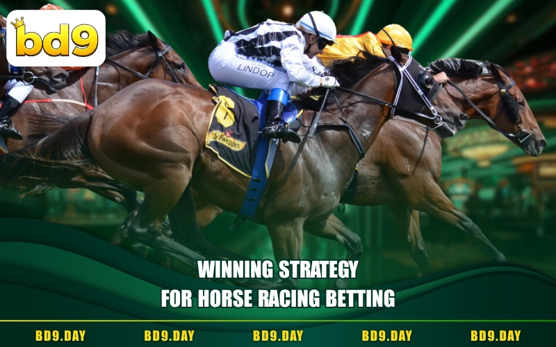 WINNING STRATEGY FOR HORSE RACING BETTING